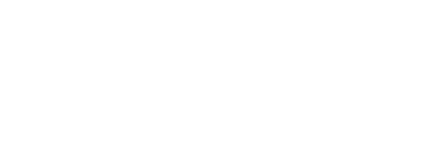 Apollo Pro Health Partners